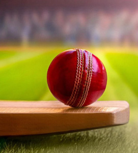 Cricket Balls